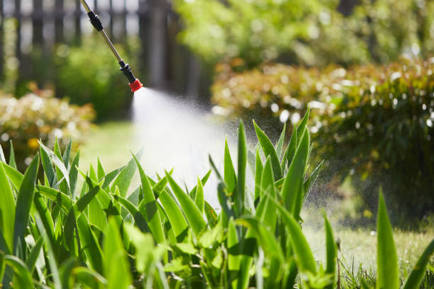 24/7 Emergency Mosquito Control experts in Waveland, MS